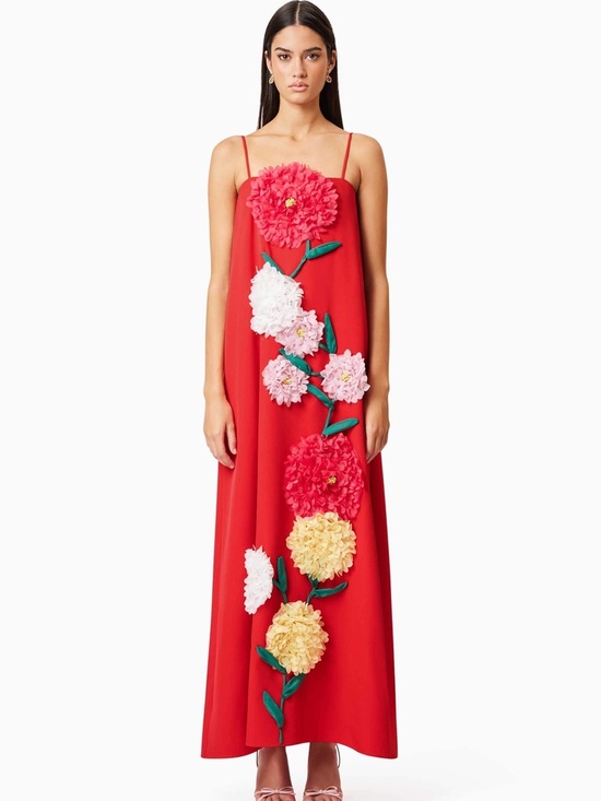 Elliatt Dresses & Skirts - Elliatt Buttercup Embroidered Maxi Dress In Red